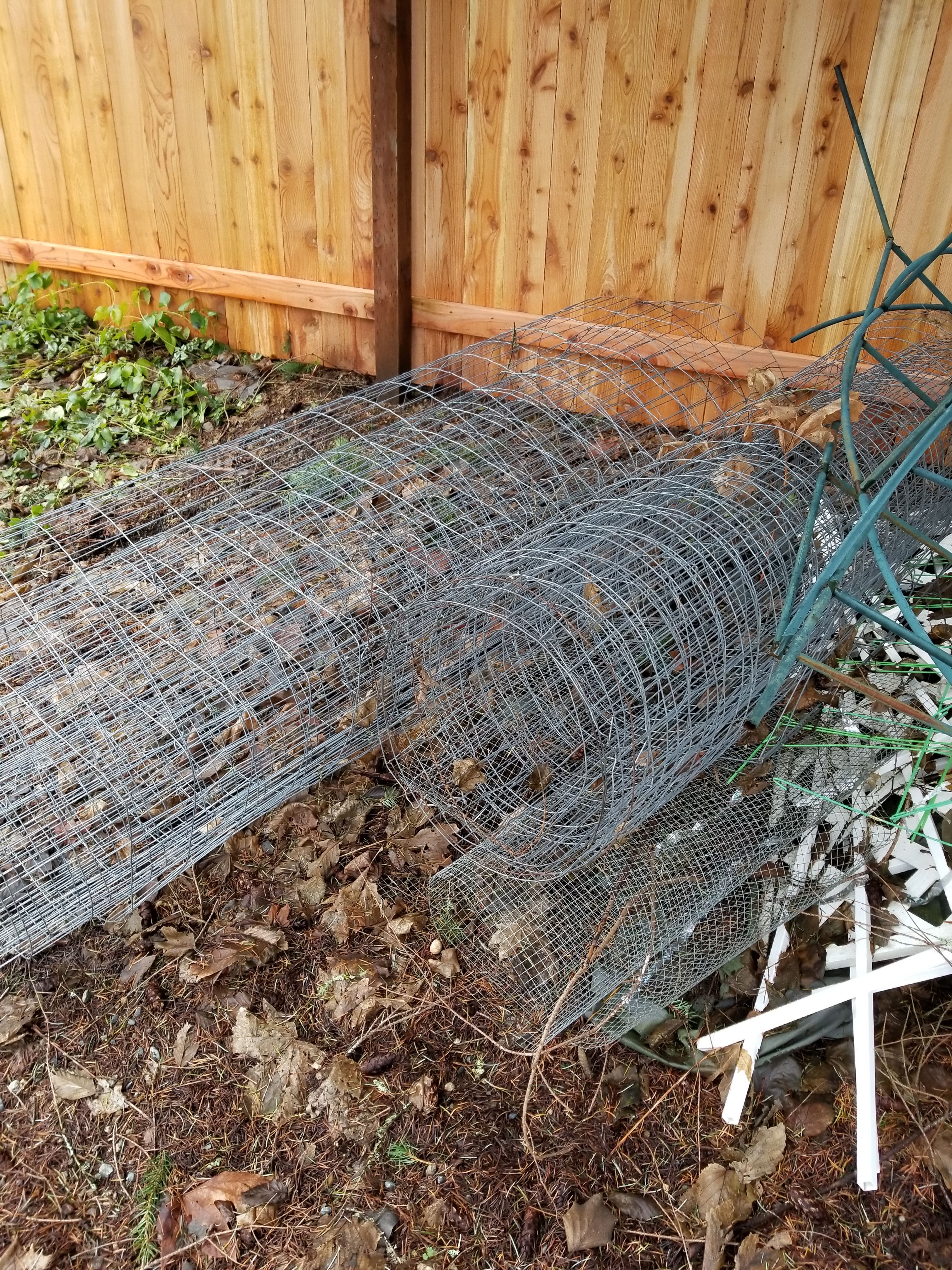 6ft tall chicken wire.