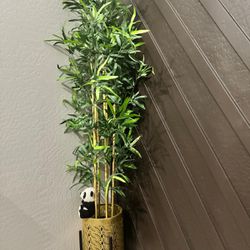 Beautiful Bamboo Plant With Stand
