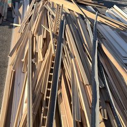 ‼️FREE FREE‼️