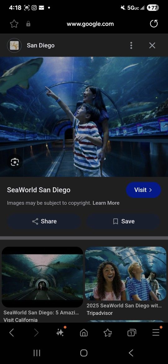 Seaworld Tickets