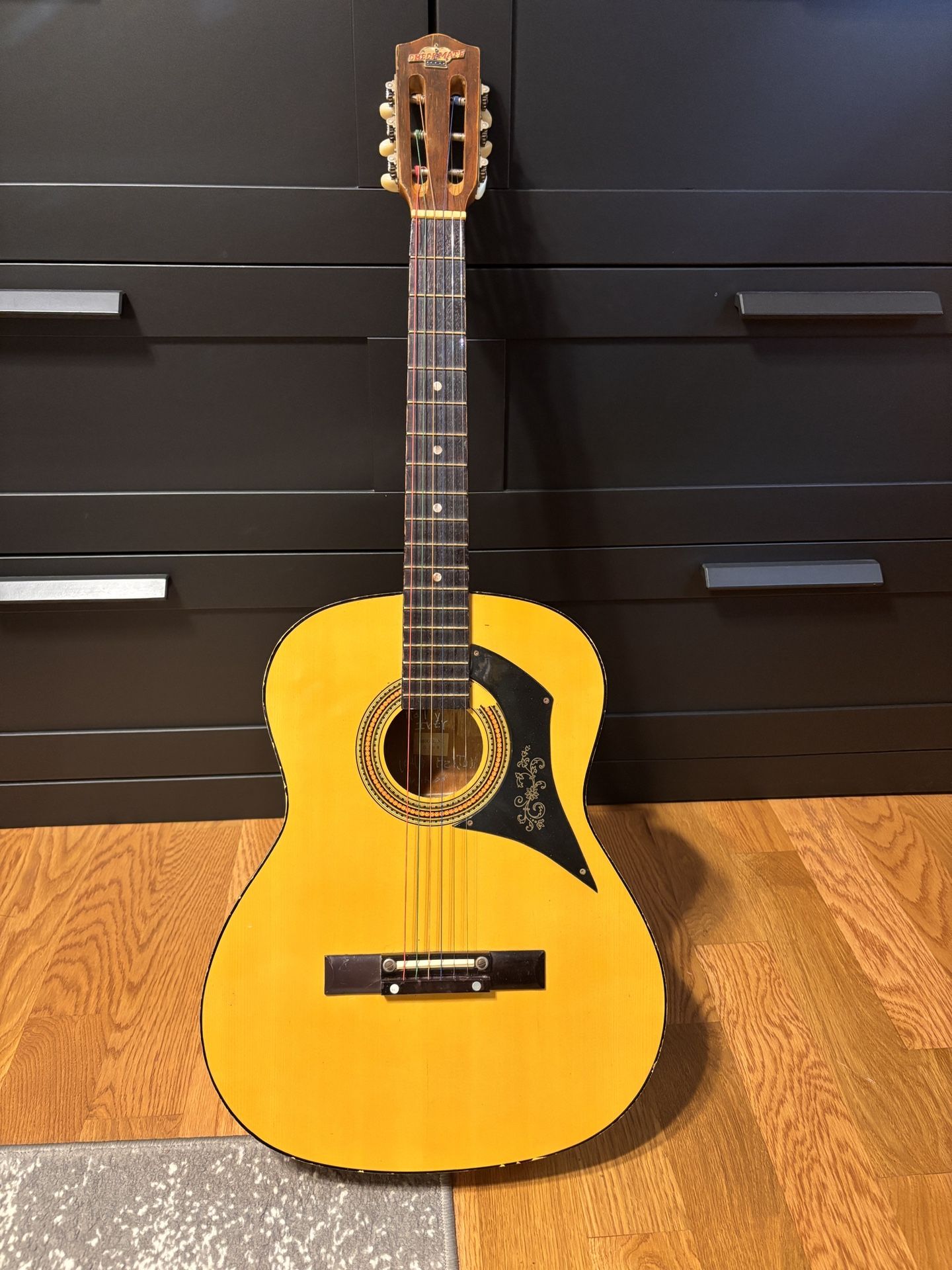 Acoustic Guitar
