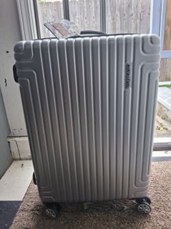 Olympia Silver Suitcase