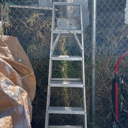 6 Ft Ladder
