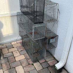 Animal Traps