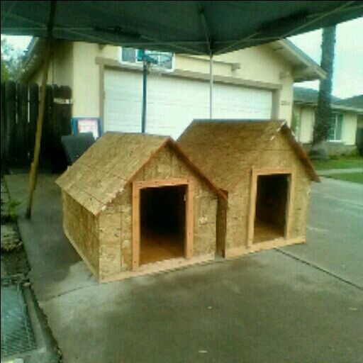 Large OR XXL Dog House