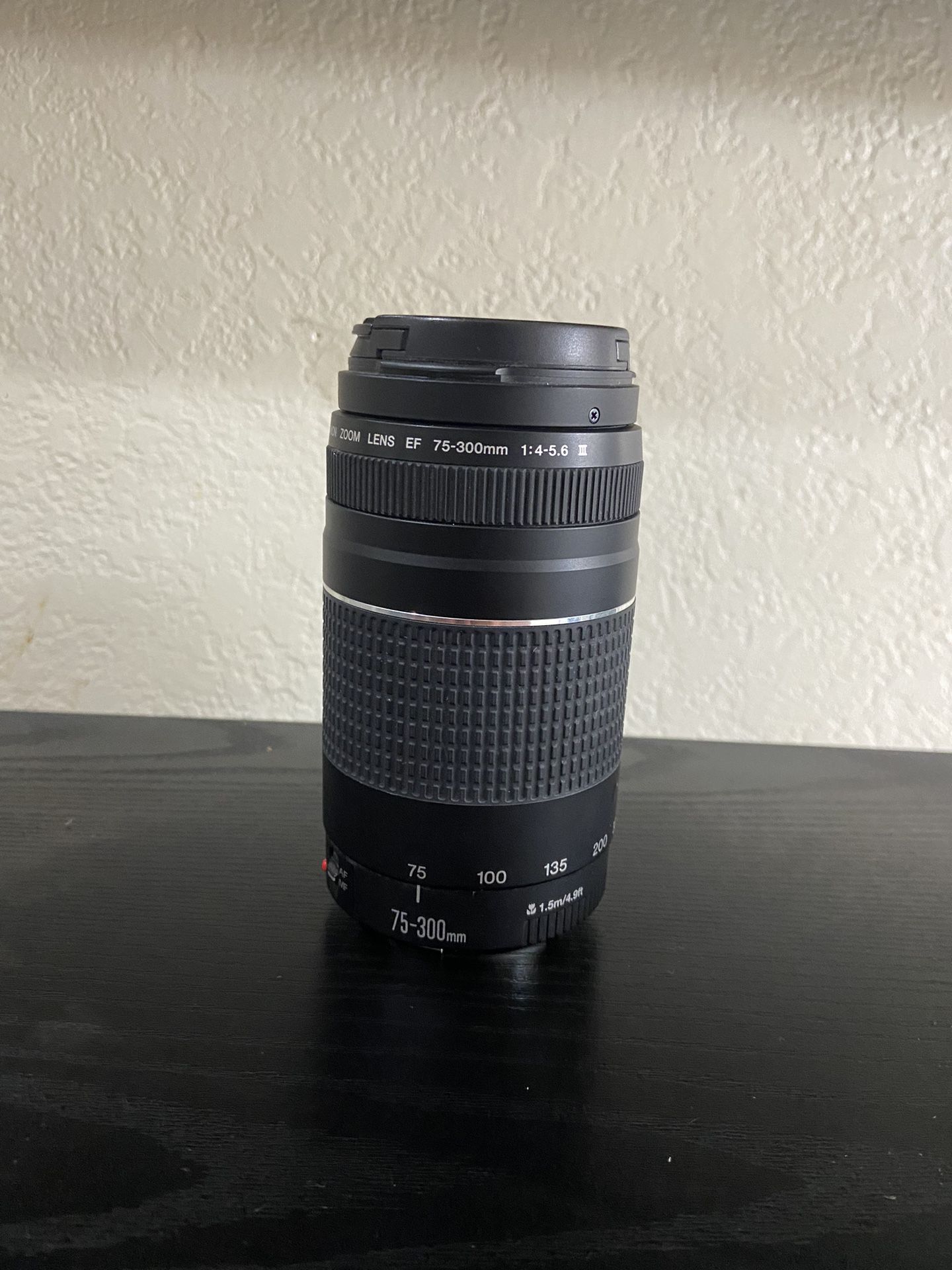 Canon EF 75-300m Lens 