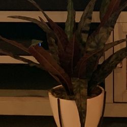 Artificial Plant