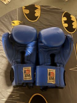 Everlast Boxing Gloves