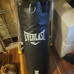 Everlast Punching Bag _ Can Deliver Close To Gresham/Portland 