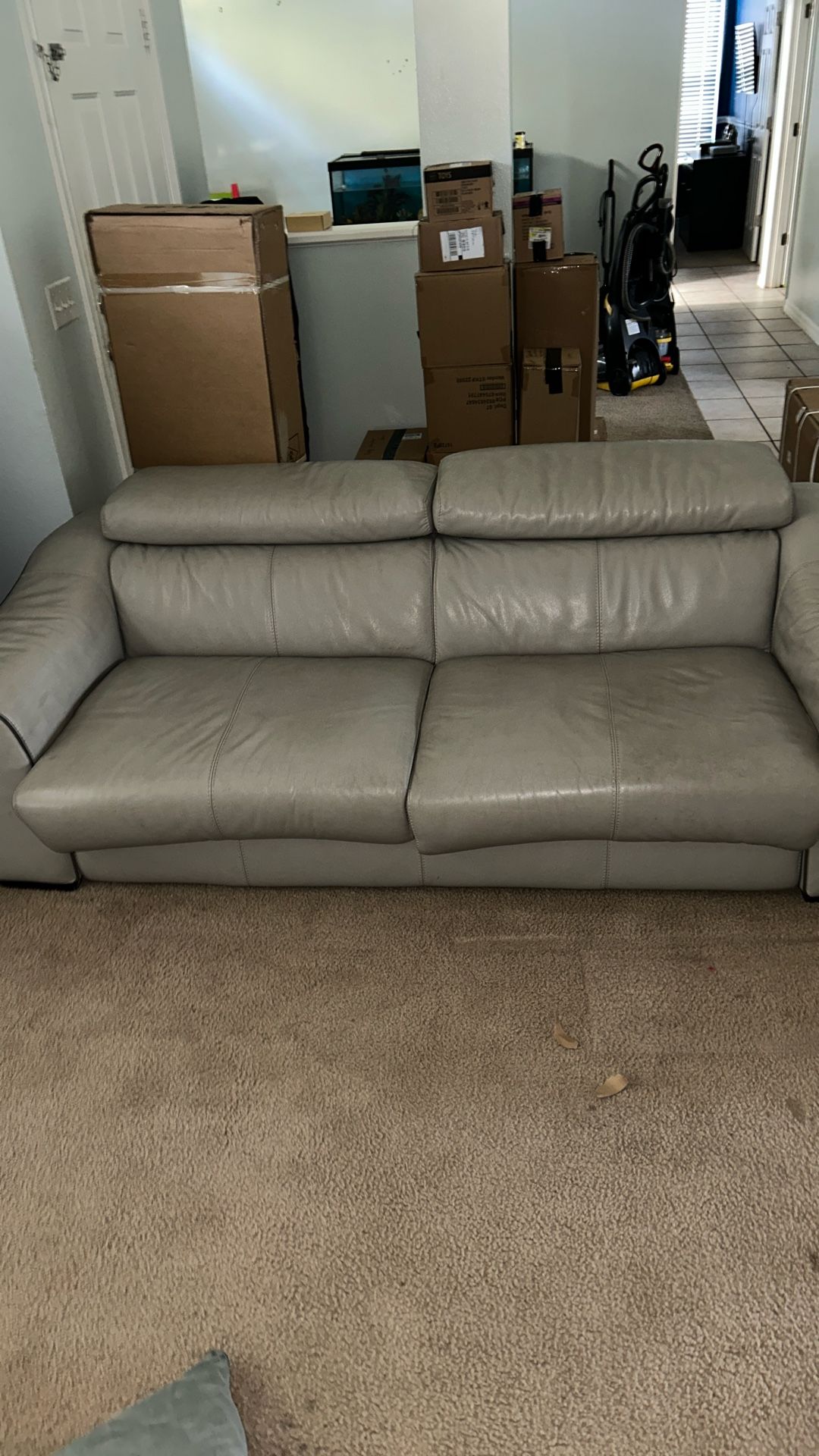 Grey pullout Couch 