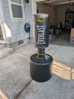 Everlast punching bag
