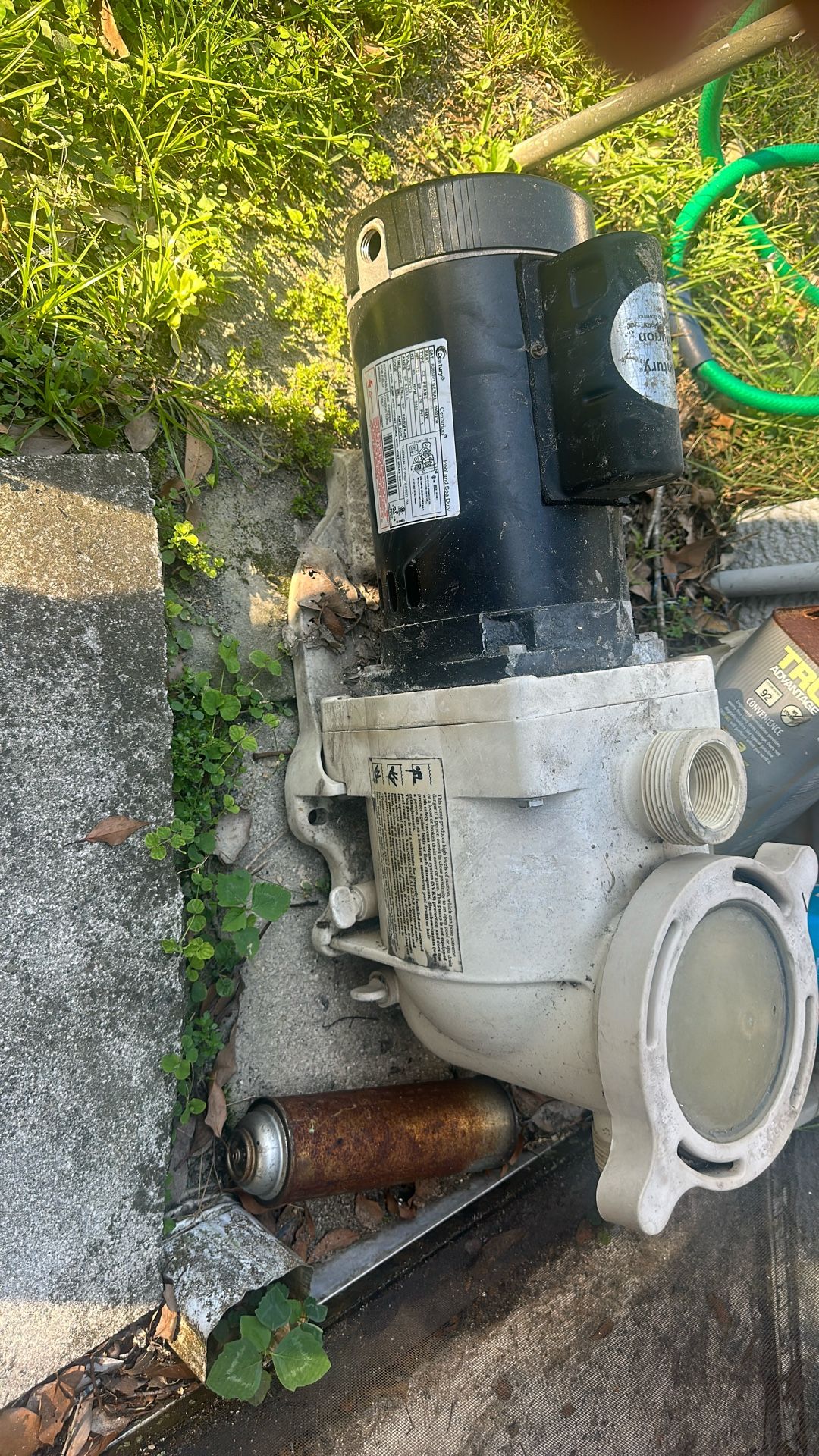 Pool Pump/Motor (parts)