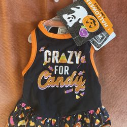 Halloween Pet Dress Xs