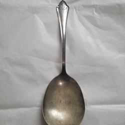 Holmes & Tuttle Silver Plate MEADOW FLOWER 1940 Serving Spoon 