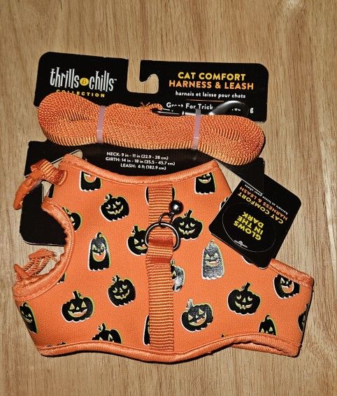New Cat Harnesses