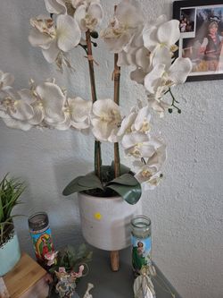 Faux Plants 