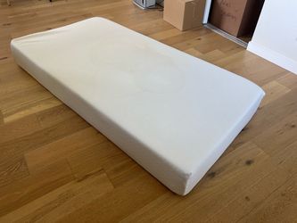 FREE Twin Foam Mattress – Stained, Removable Cover