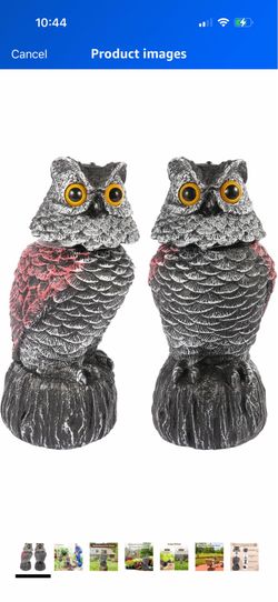 Owl Decoys to Scare Birds Away