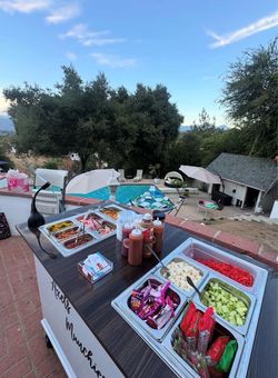 Tostiloco carts party
