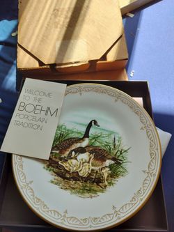 Waterbird collection