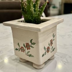 🤍 🤍Hand Painted Vintage Planter w Succulent Plant 🪴 🪴