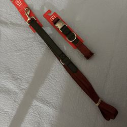 Reddy Matching Dog Lead And Collar