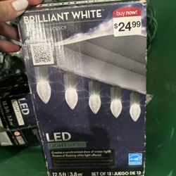 LED Bright White Christmas Lights