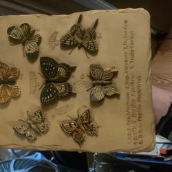 Butterfly 3D Picture 