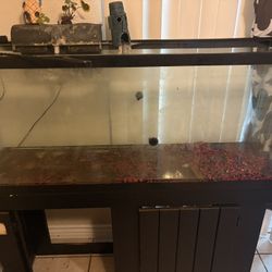 55 Gallon Tank 