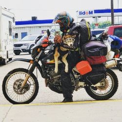 Suzuki Dr650 - Runs Well 