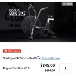 Rogue Echo Assault Bike 