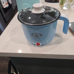 Electric Pot