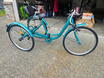 Adult Tricycle