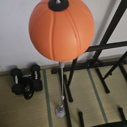 Reflex Punching Ball 