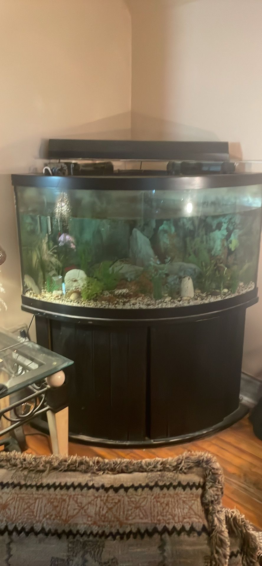 100 gallon corner fish tank with accessories  and stand