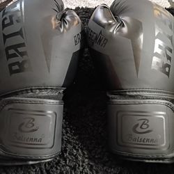 Balsena 12 Oz Boxing Gloves