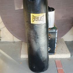 100lb Everlast Punching Bag