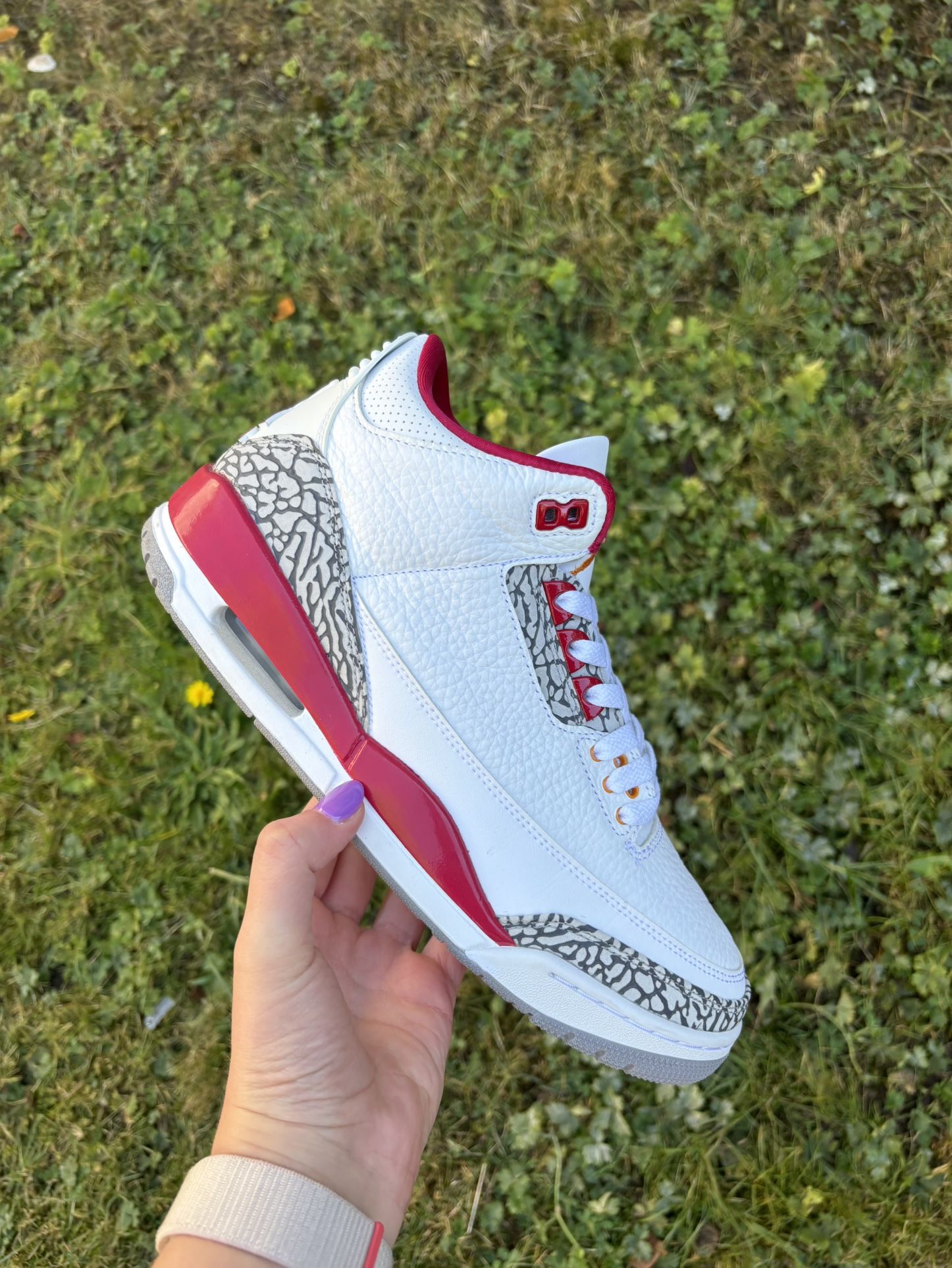 Jordan 3 Cardinal Red