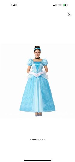 NEW Adult Princess Cinderella Costume