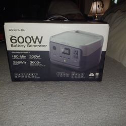 Ecoflow 600w Battery Generator 
