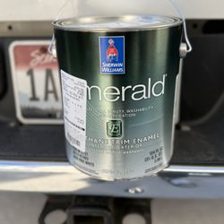 1 Gallon Of Sherwin Williams Best paint Emerald 