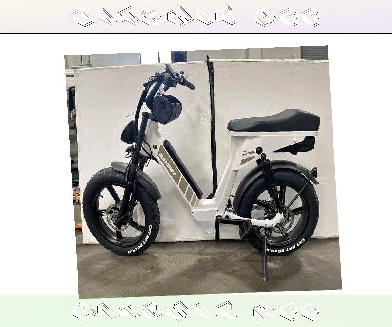 E Bike Range Pick Your Ideal Bicycle partner art