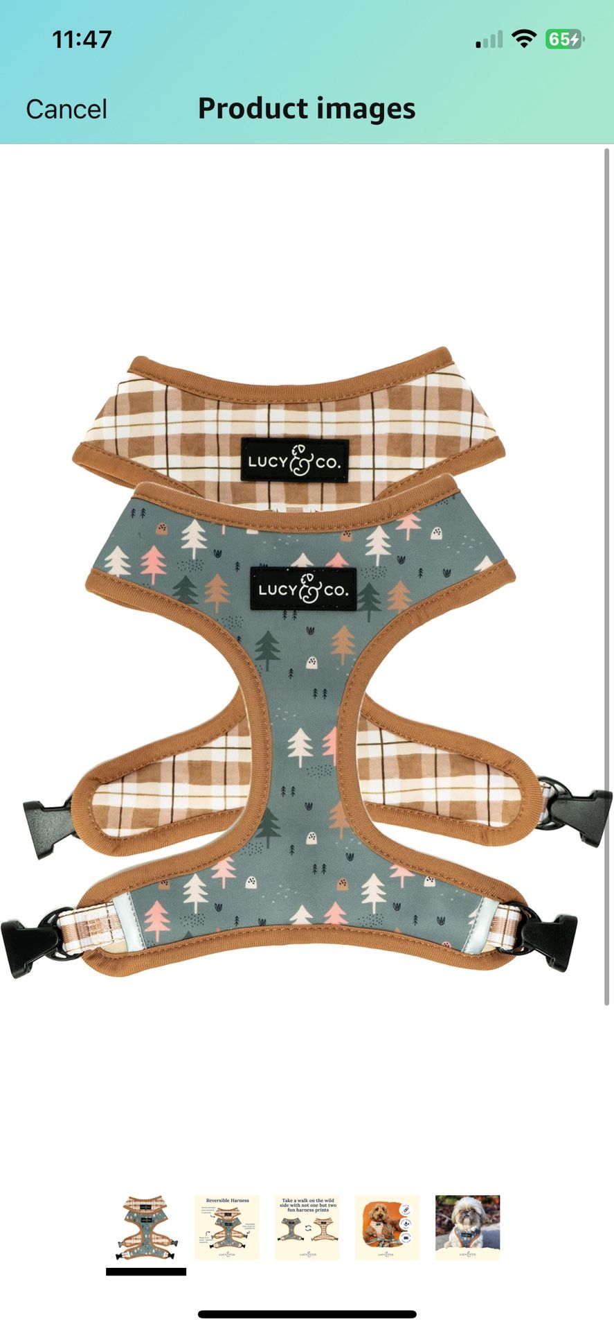 NEW Designer Medium Dog Harness
