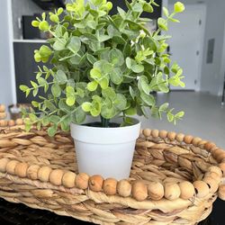 Decorative Tray with Faux Plant