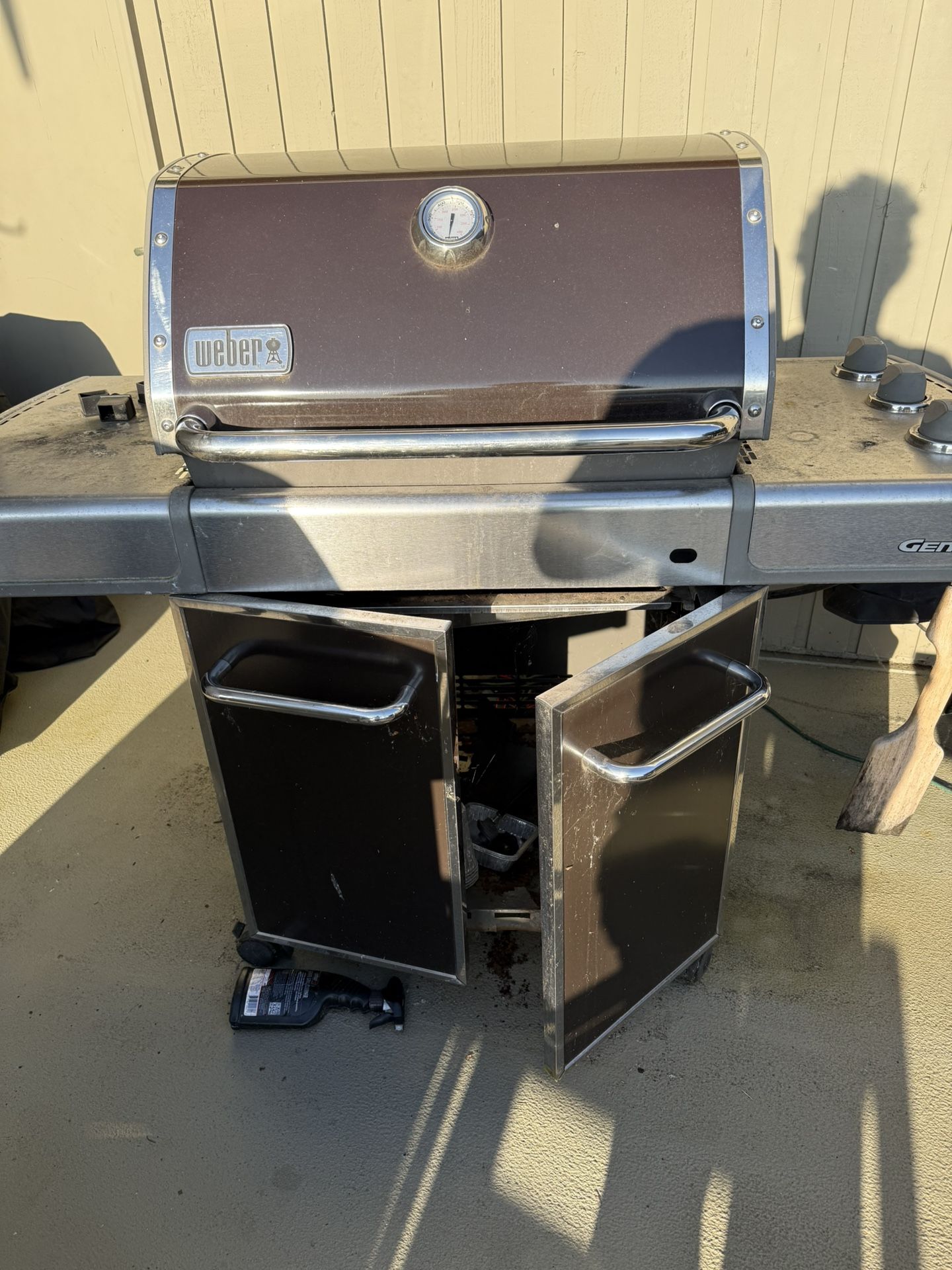 Free Weber Grill