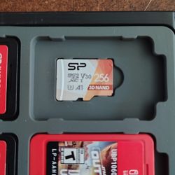 256gb MICRO SD CARD