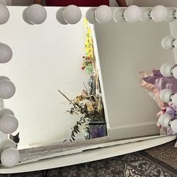 Beauty Creations Mirror BULBS DO NOT WORK