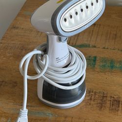 Portable steam ironing