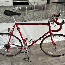  Nice Trek 400 , 60 Cm Frame Lite & Fast $125