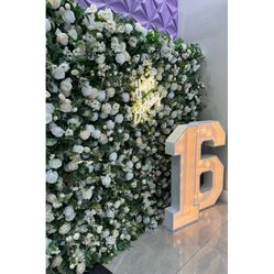 Marquee Numbers And Flower Wall Backdrop